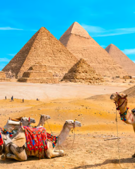 Egypt_vacation